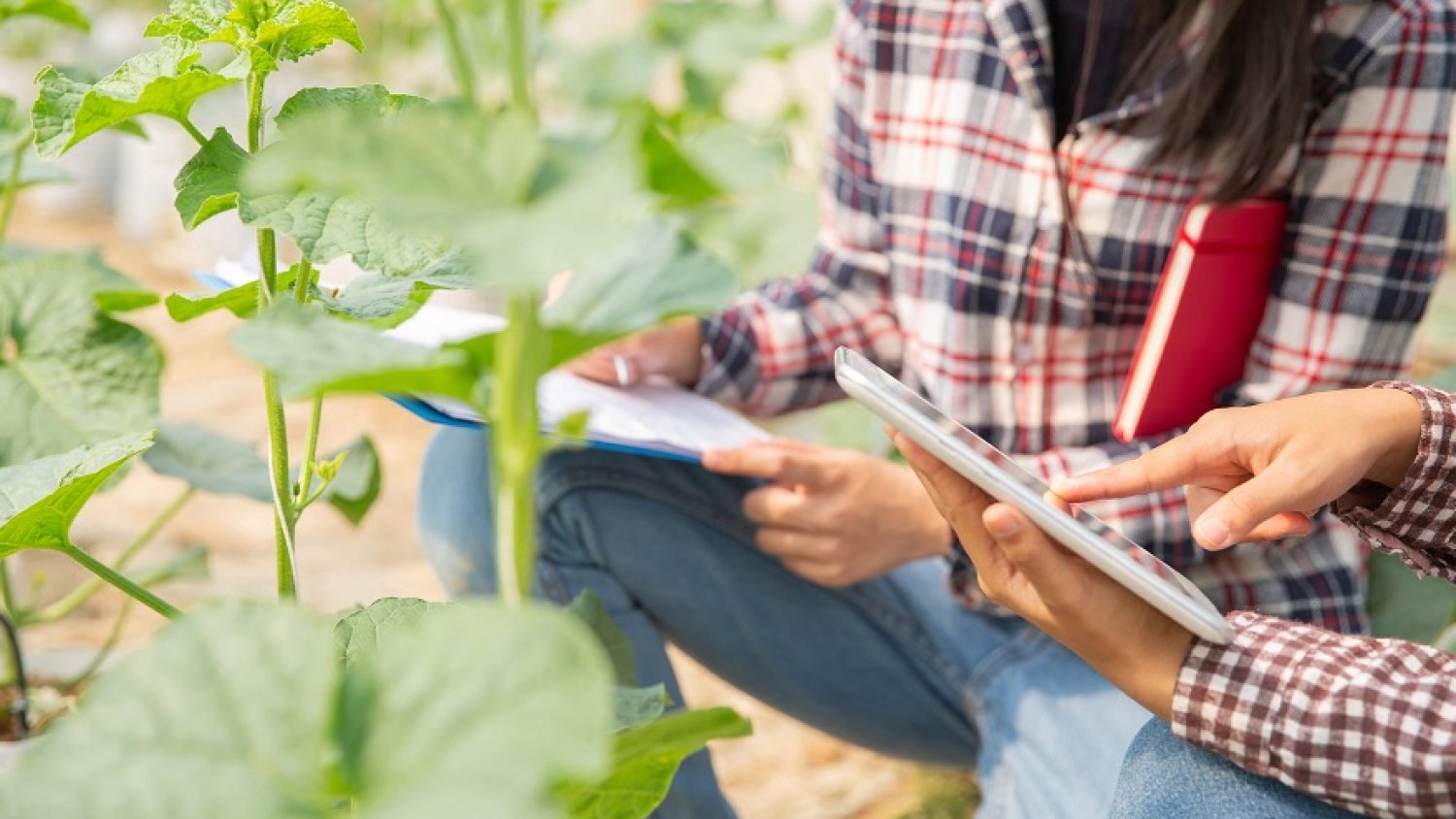 El Ministerio de Agricultura convoca ayudas por 1,7M€ para las explotaciones agrarias de titularidad compartida 