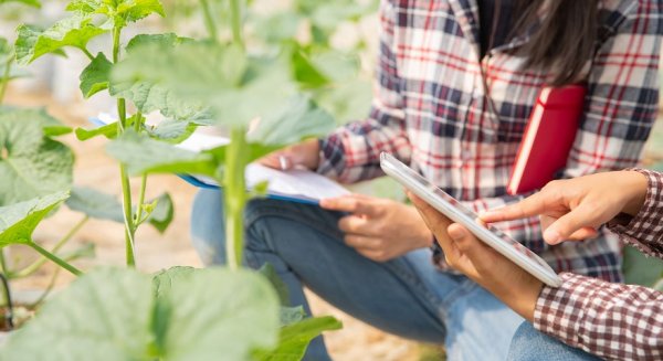El Ministerio de Agricultura convoca ayudas por 1,7M€ para las explotaciones agrarias de titularidad compartida 