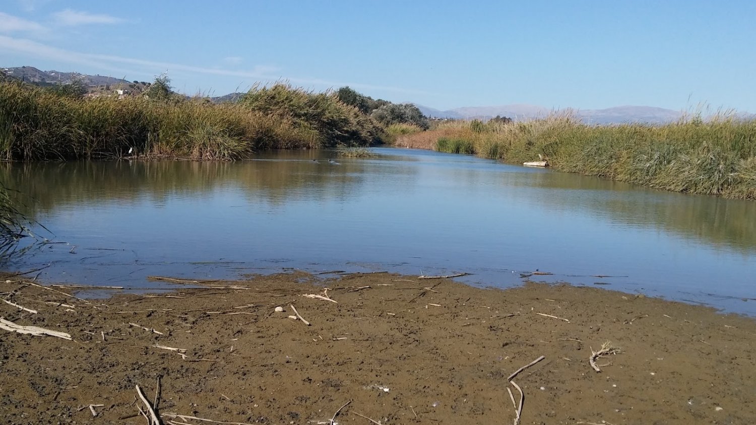 Vélez-Málaga insta a la Junta de Andalucía a limpiar los cauces de los ríos y arroyos del municipio