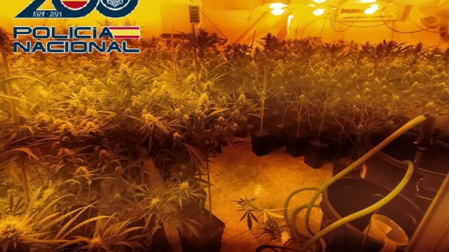 Detienen a seis personas y desarticulan dos puntos de venta de drogas en la zona oeste de Málaga