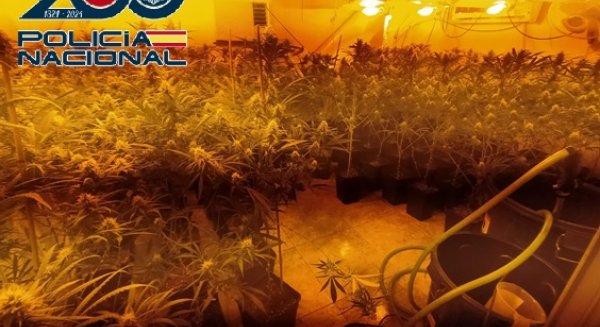 Detienen a seis personas y desarticulan dos puntos de venta de drogas en la zona oeste de Málaga