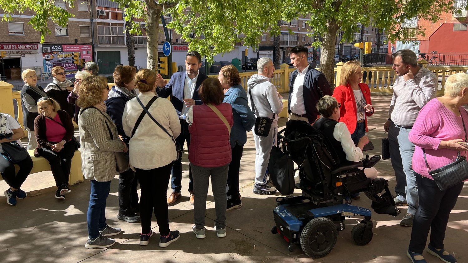 El PSOE pide al Ayuntamiento de Málaga “más implicación con el estado del arbolado urbano” en la ciudad