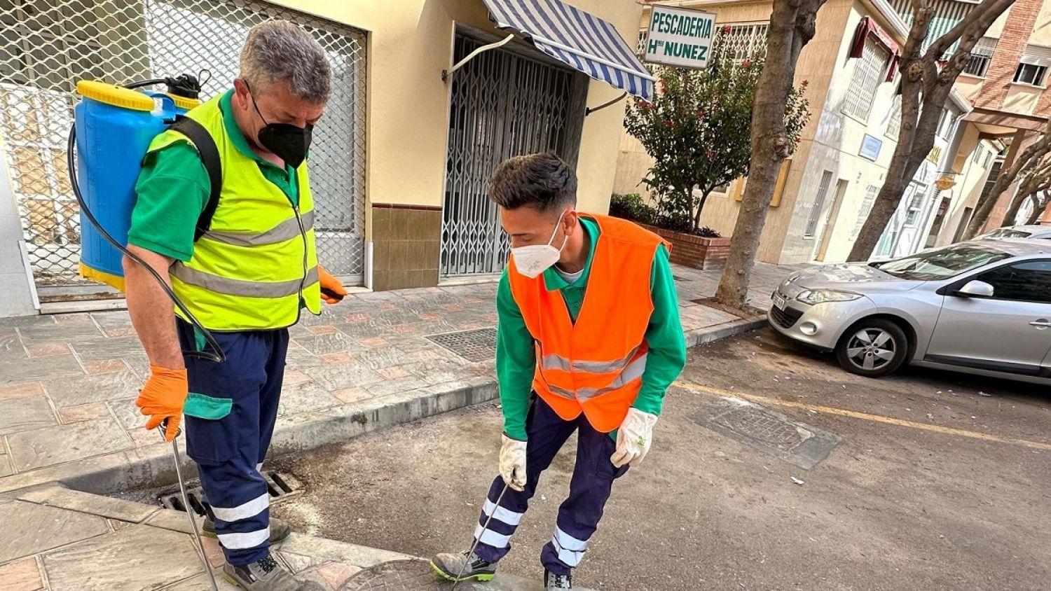El Ayuntamiento de Fuengirola intensifica las labores de desinsectación ante la llegada del calor