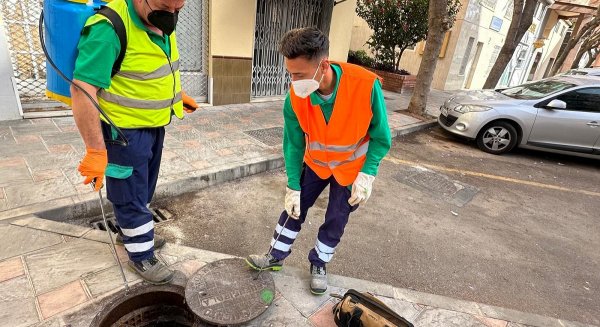 El Ayuntamiento de Fuengirola intensifica las labores de desinsectación ante la llegada del calor