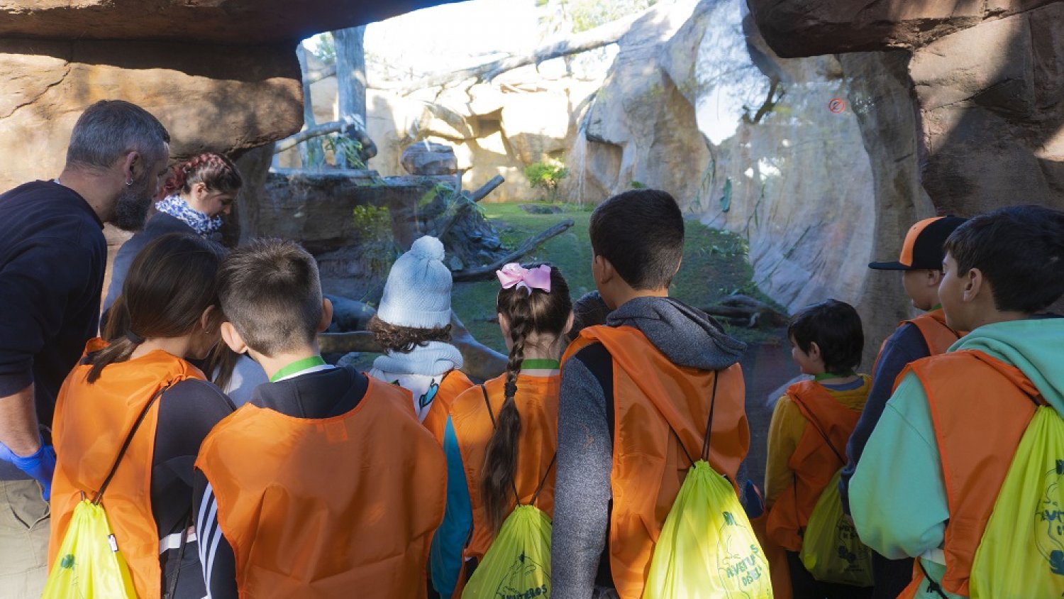 BIOPARC Fuengirola abre plazo de inscripción para su campamento de verano: ‘Las 5 maravillas de Bioparc’