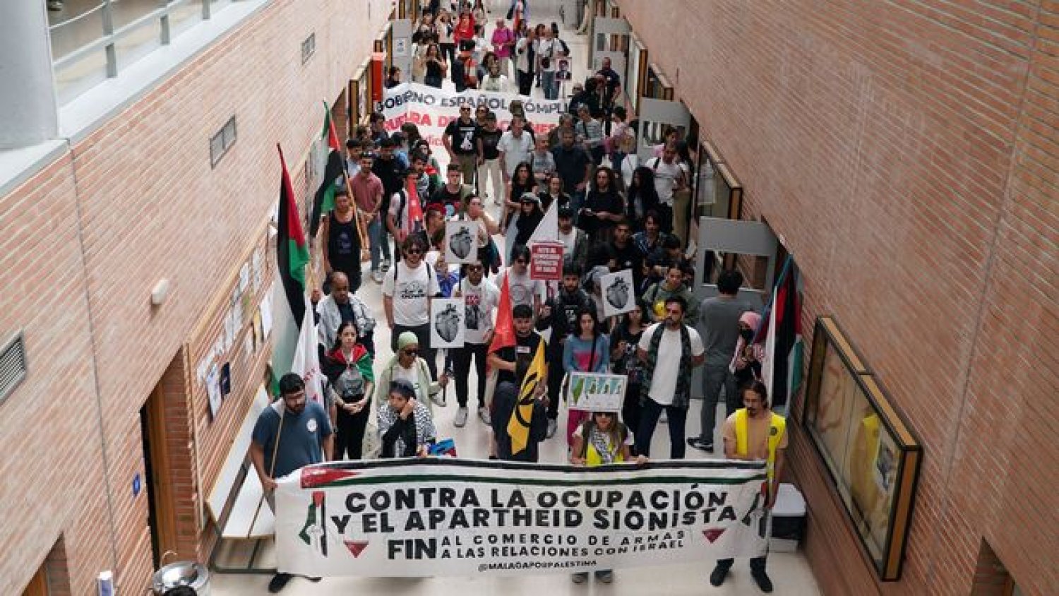 La UMA convoca un Consejo de Gobierno extraordinario para proponer medidas de colaboración con universidades palestinas