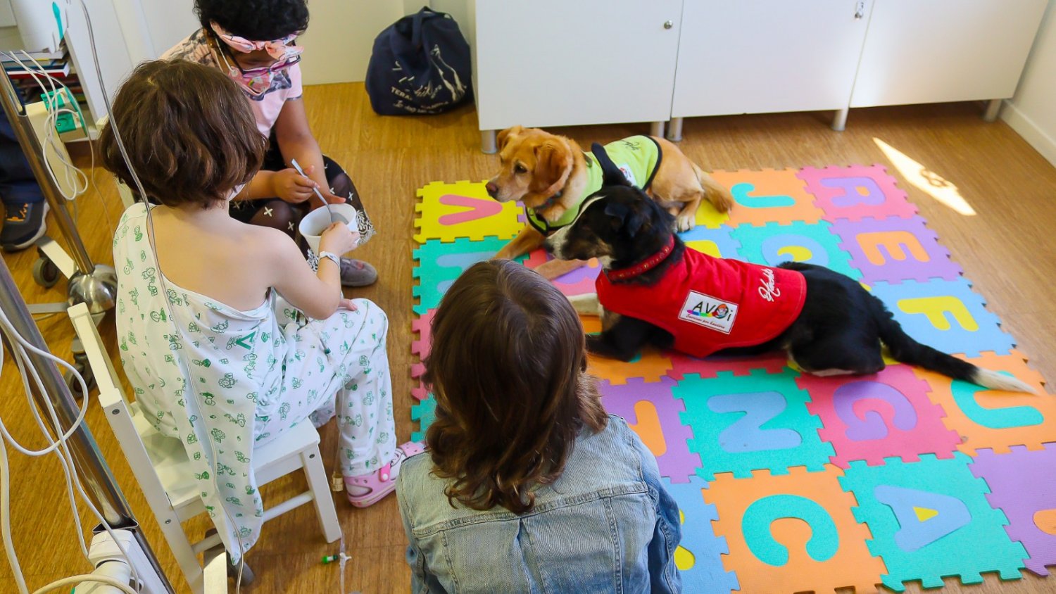 La terapia canina reanuda su actividad en el Hospital Materno de Málaga tras su paralización en la pandemia