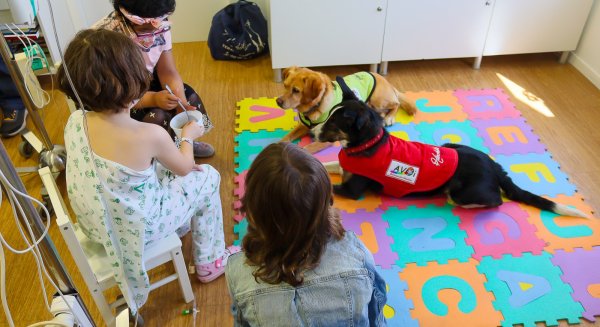 La terapia canina reanuda su actividad en el Hospital Materno de Málaga tras su paralización en la pandemia