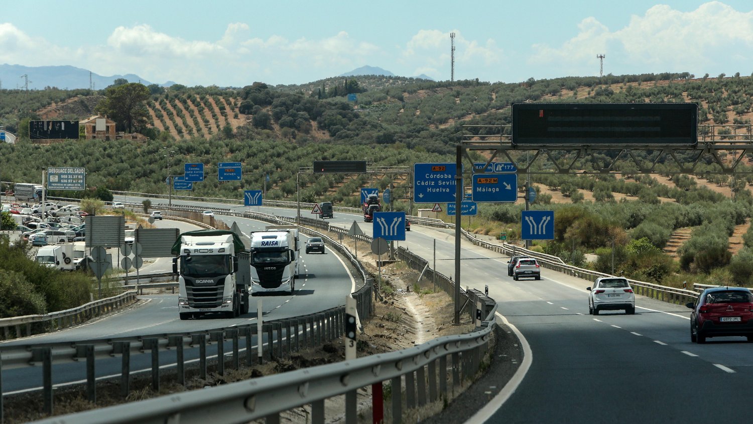 Adjudicada la revegetación de autovías de Málaga, Almería, Granada y Jaén con 5.200 plantas y arbustos
