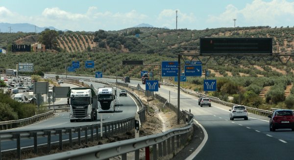 Adjudicada la revegetación de autovías de Málaga, Almería, Granada y Jaén con 5.200 plantas y arbustos