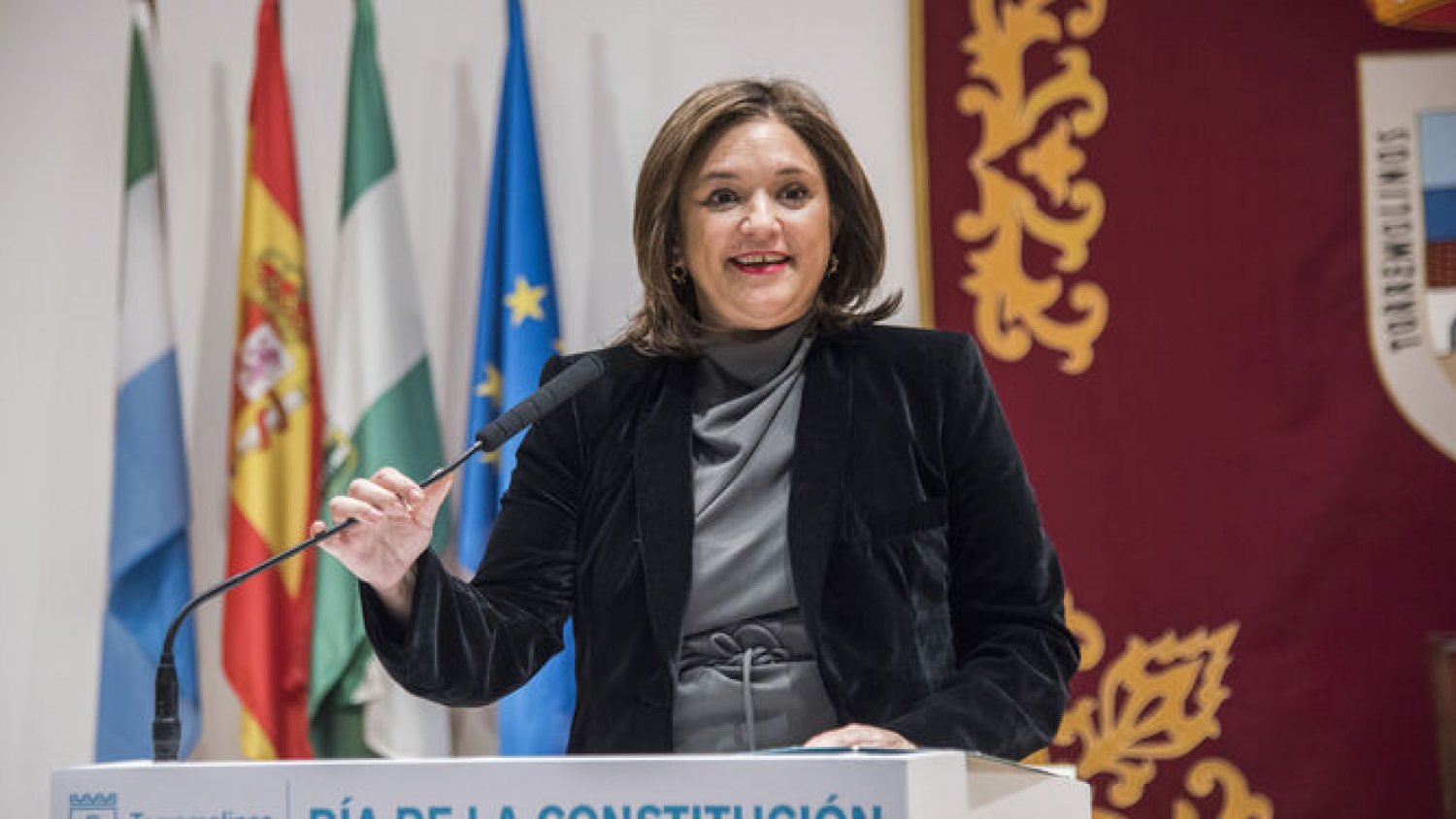 Del Cid pide unificar el voto en el PP para garantizar inversiones europeas en Torremolinos