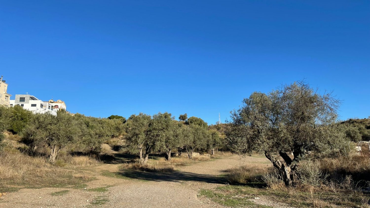 Rincón de la Victoria y la Diputación firman un convenio para el proyecto del Parque Periurbano Municipal de Torre de Benagalbón