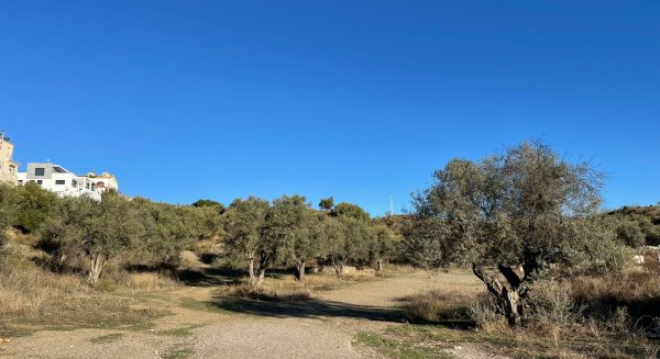 Rincón de la Victoria y la Diputación firman un convenio para el proyecto del Parque Periurbano Municipal de Torre de Benagalbón