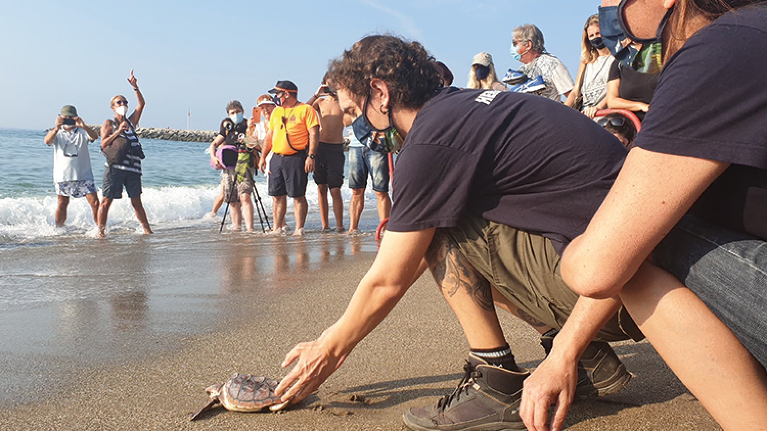Bioparc Fuengirola organiza un encuentro en Los Boliches sobre el reconocimiento de rastros y nidos de tortugas marinas