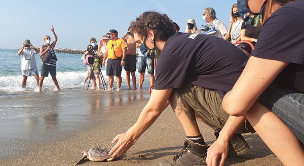 Bioparc Fuengirola organiza un encuentro en Los Boliches sobre el reconocimiento de rastros y nidos de tortugas marinas