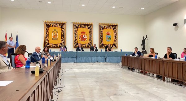 El Pleno aprueba bonificar el 95% del ICIO a las actuaciones de mejora del proyecto Estepona, Jardín de la Costa del Sol