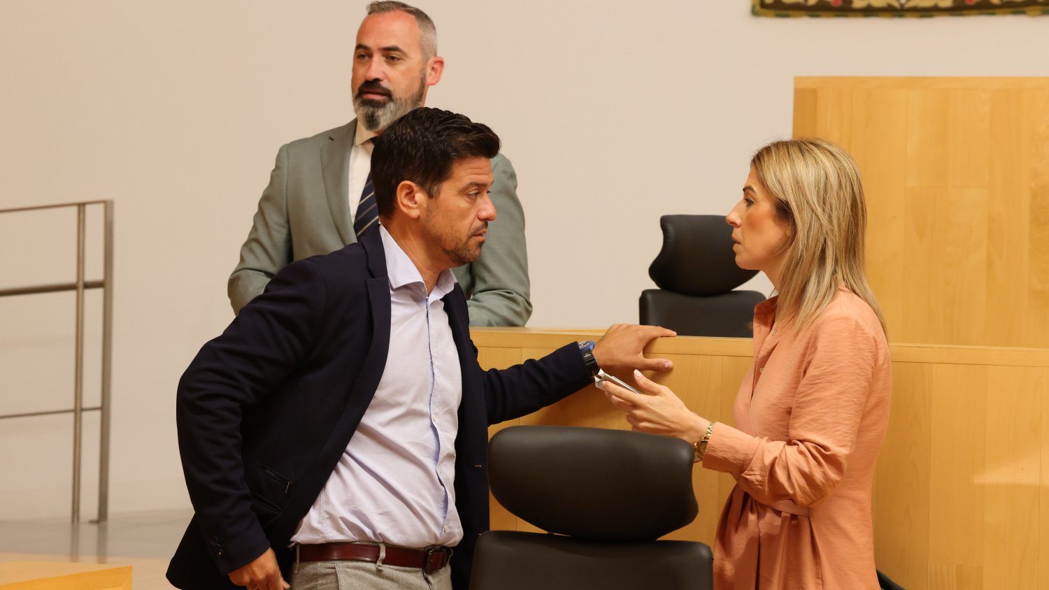 Diputación de Málaga exige al Gobierno que elimine la subida de los peajes en temporada alta