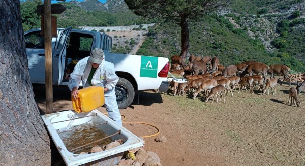 La Junta destina cerca de 30.000 euros al bienestar de los animales de la reserva de Ojén