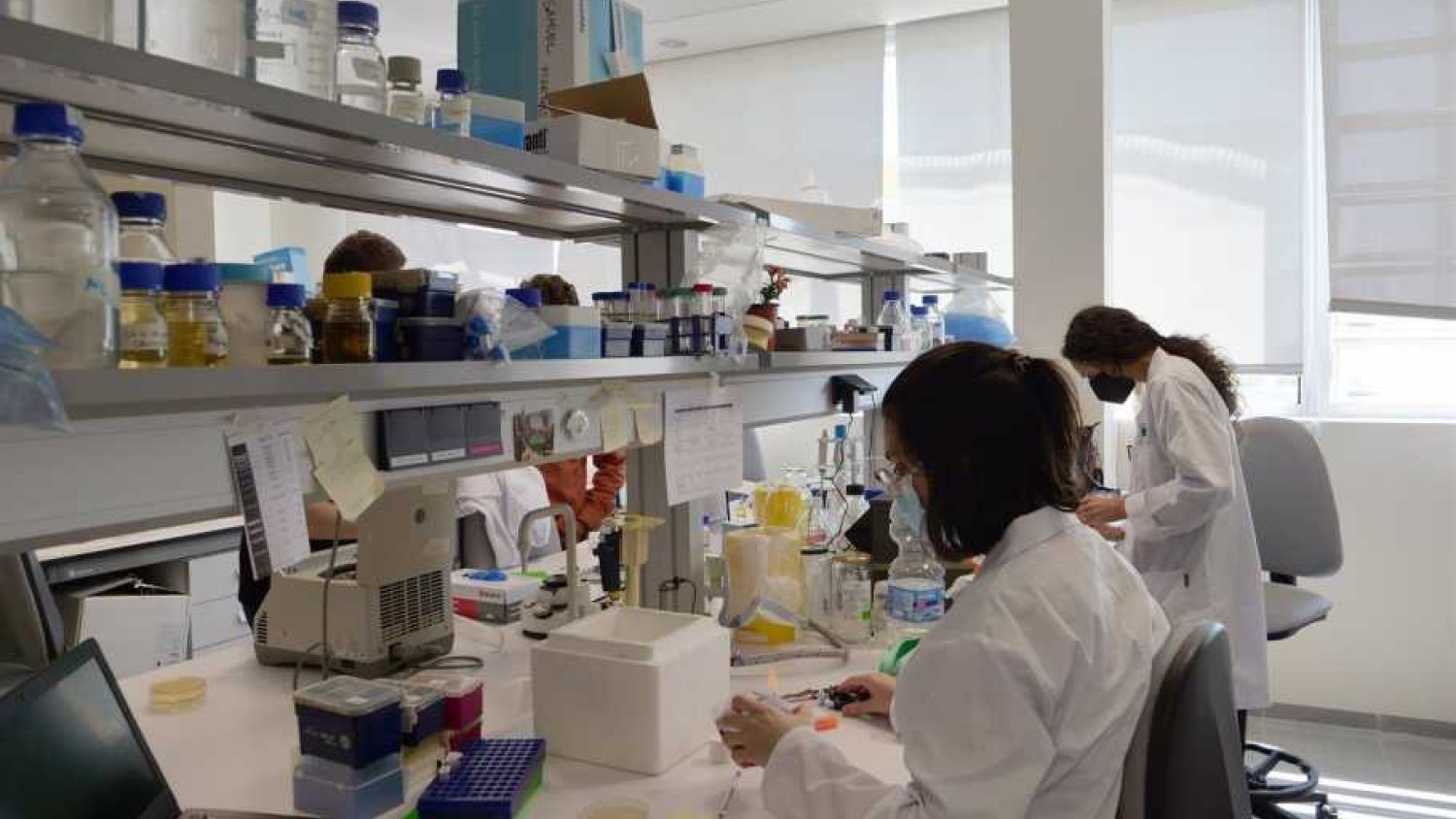 Málaga recibirá 2,6 millones de euros para consolidar la carrera investigadora en la provincia 