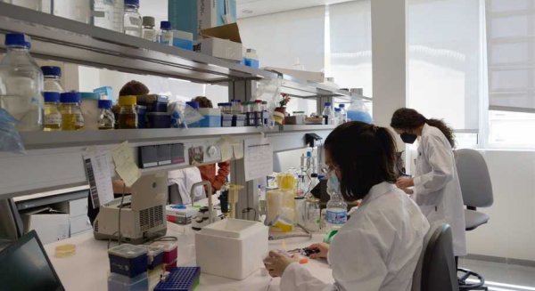 Málaga recibirá 2,6 millones de euros para consolidar la carrera investigadora en la provincia 