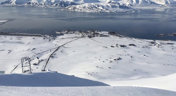 Científicos de la UMA regresan de ártico tras una campaña para el estudio de algas en ecosistemas de hielo