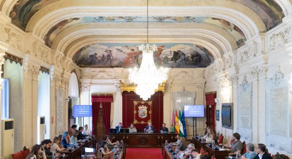 Aprobada la participación del Ayuntamiento como patrono en la Fundación Centro de Investigación y Terapias Avanzadas del Cáncer