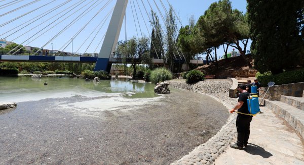 Marbella recupera los lagos del Parque de la Represa tras que paralizar el sistema de recirculación con la sequía