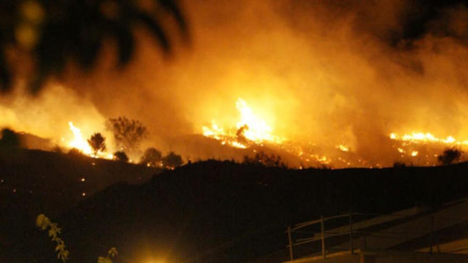 Detenido como presunto autor de varios incendios intencionados en el Monte de la Virreina 
