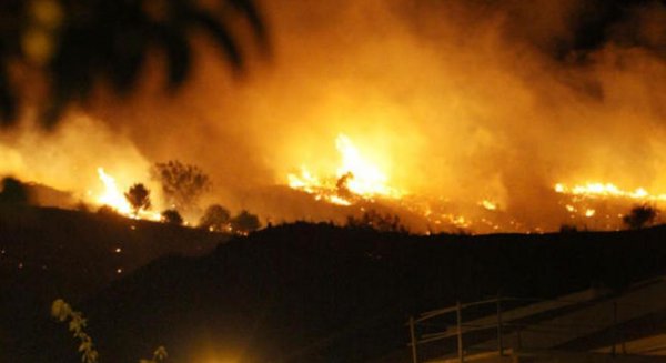 Detenido como presunto autor de varios incendios intencionados en el Monte de la Virreina 