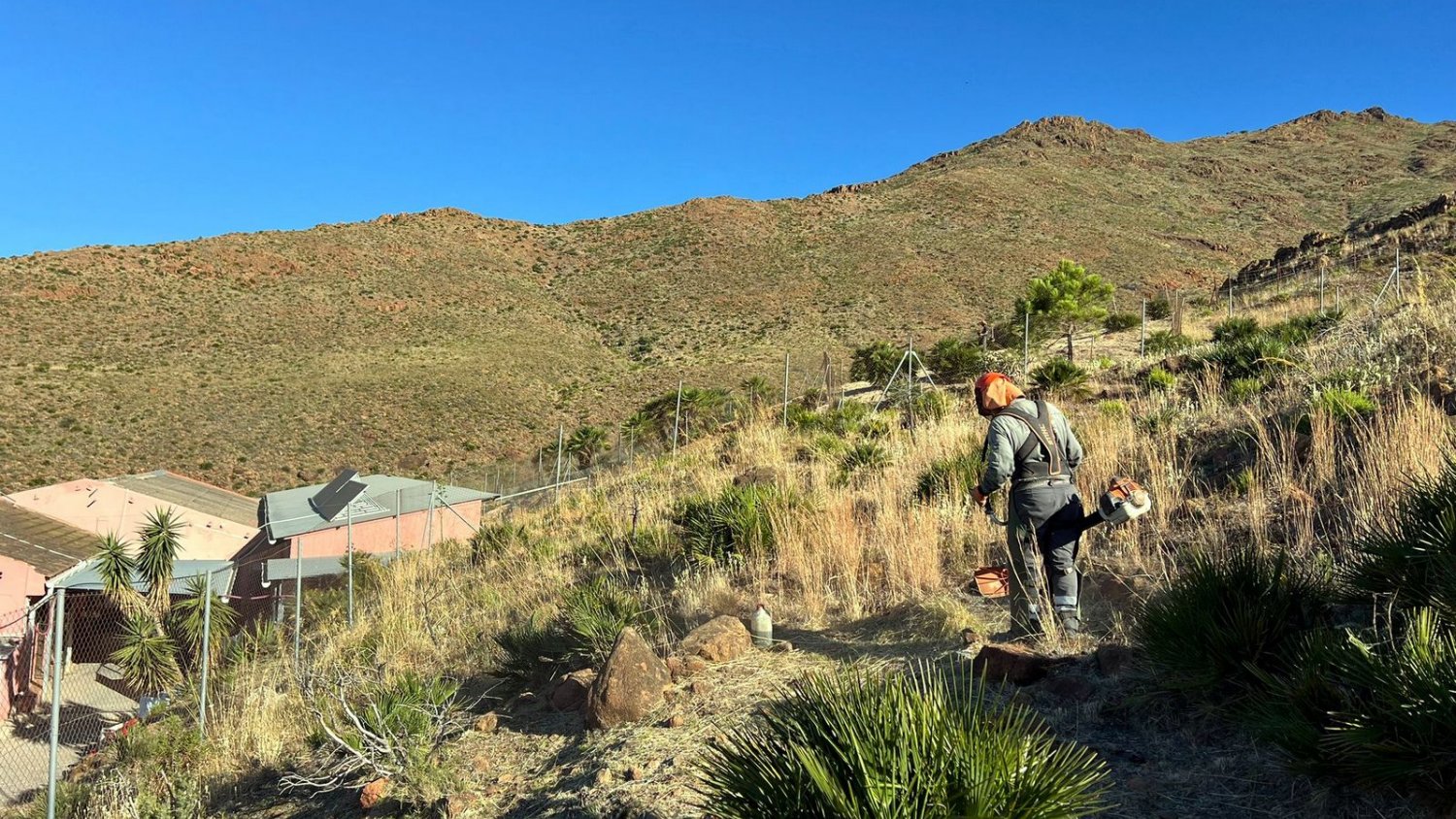 El Ayuntamiento de Estepona realiza la limpieza y desbroce de 94 kilómetros de caminos rurales y parcelas para prevenir incendios forestales
