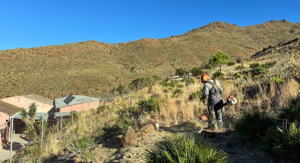 El Ayuntamiento de Estepona realiza la limpieza y desbroce de 94 kilómetros de caminos rurales y parcelas para prevenir incendios forestales