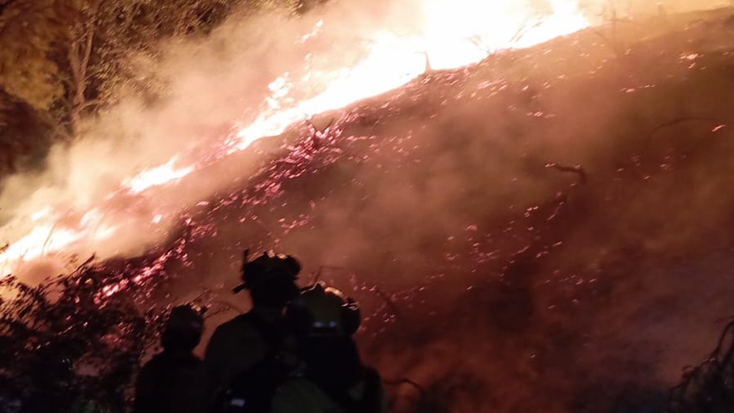 Controlado al 80% el incendio en Casares que ha obligado a desalojar a doce personas