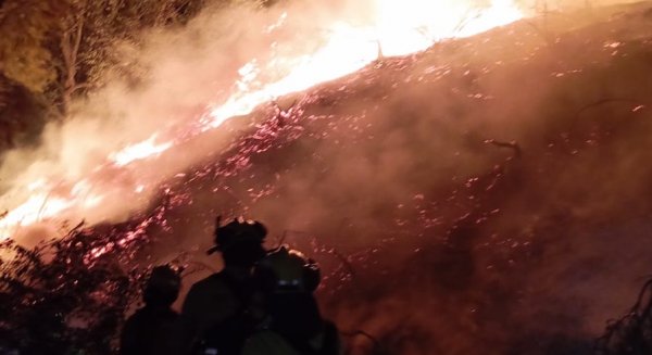 Controlado al 80% el incendio en Casares que ha obligado a desalojar a doce personas