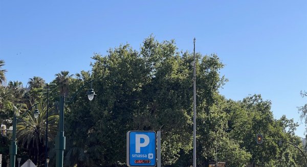 El Pleno da luz verde de forma inicial a la nueva ordenanza de Movilidad Sostenible del Ayuntamiento de Málaga 