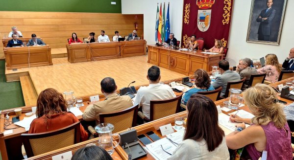 Torremolinos mejora la ordenanza de Ayudas de Emergencia para la Atención de Necesidades Sociales 