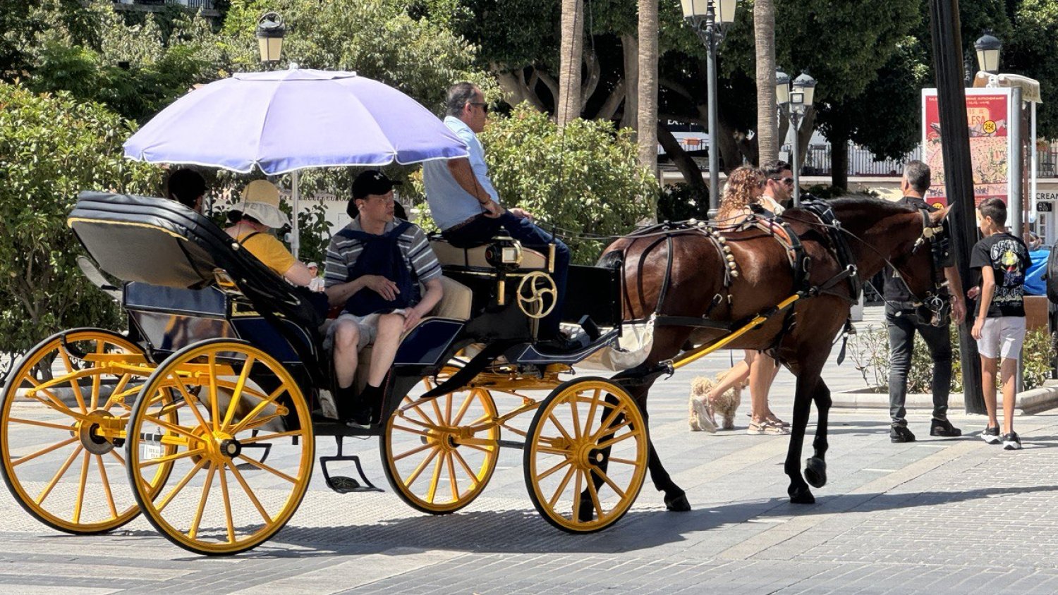 El Ayuntamiento de Mijas reduce el servicio de burro taxis y coches de caballos en situaciones de aviso meteorológico