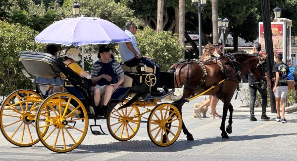 El Ayuntamiento de Mijas reduce el servicio de burro taxis y coches de caballos en situaciones de aviso meteorológico