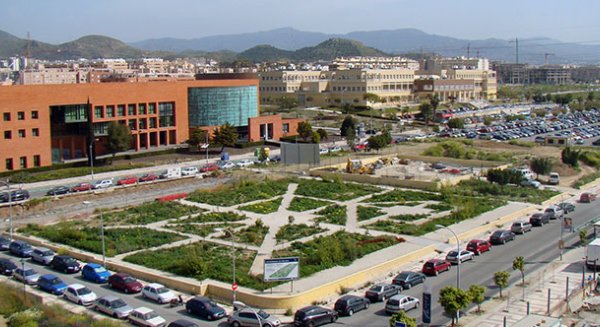 Andalucía vuelve a congelar el precio de las matrículas universitarias y se mantiene entre las regiones más asequible