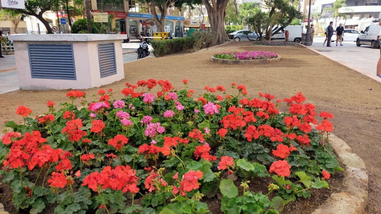 Parques y Jardines realiza 230 actuaciones en los últimos seis meses en todo el municipio
