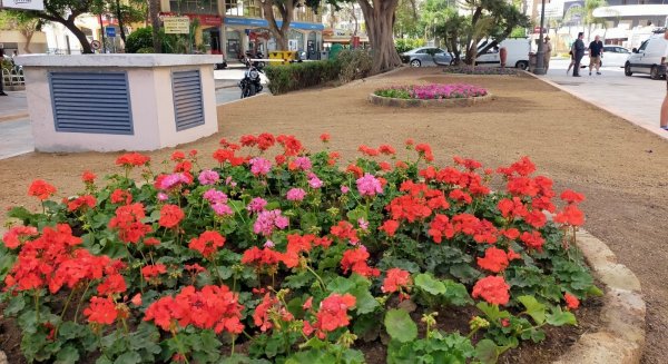 Parques y Jardines realiza 230 actuaciones en los últimos seis meses en todo el municipio