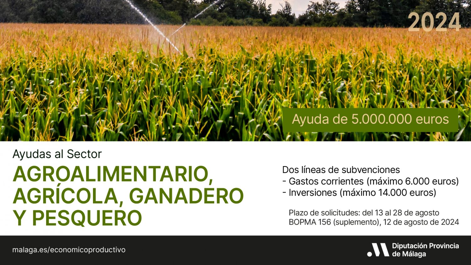 Diputación de Málaga reafirma su apoyo al sector agroalimentario con otra línea de ayudas de cinco millones de euros