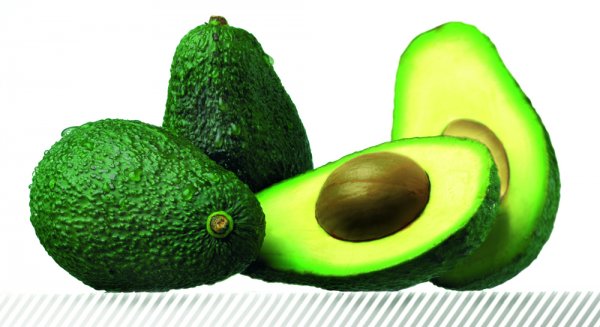 Málaga y Granada concentran el 97,5% de las ventas de aguacate por parte de la comunidad andaluza en el exterior