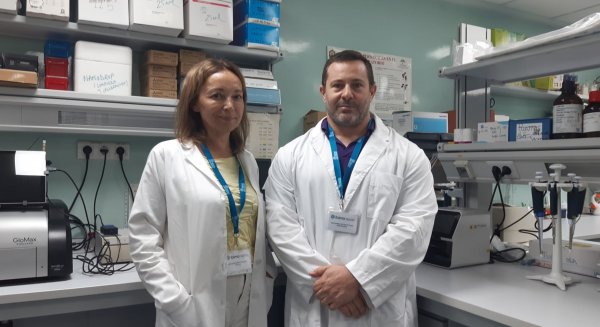 Investigadores de IBIMA , el Hospital Regional de Málaga y la UMA publican avances en el tratamiento de la esteatohepatitis metabólica