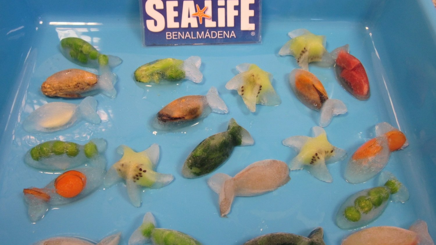 La ola de calor llega a Sea Life Benalmádena incorporando en su menú helado y gelatina para los animales