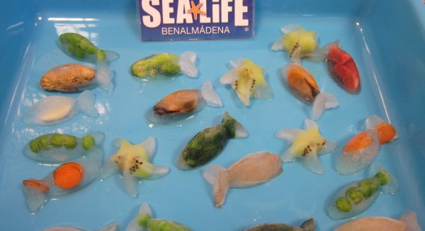 La ola de calor llega a Sea Life Benalmádena incorporando en su menú helado y gelatina para los animales