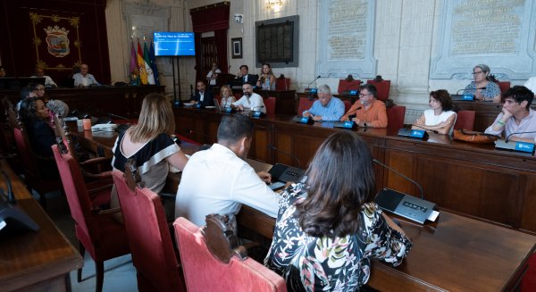 El Ayuntamiento de Málaga aprueba el trámite para el desarrollo de una superficie comercial y empresarial junto al parque Villa Rosa