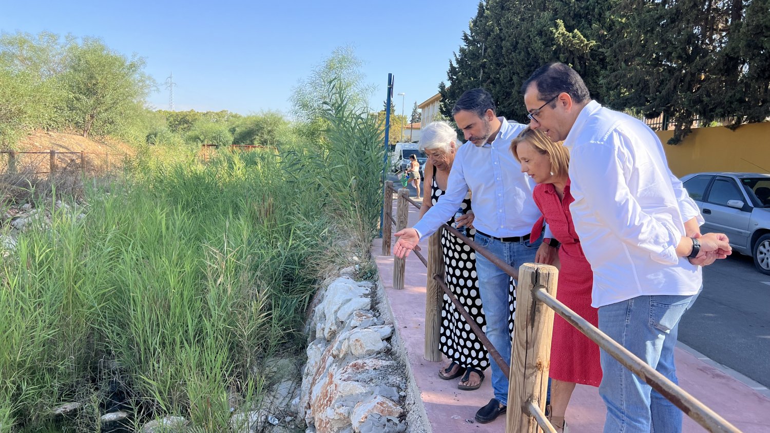 El PSOE de Málaga exige a Ayuntamiento y Junta 'acciones contundentes' contra el mosquito que transmite el virus del Nilo   