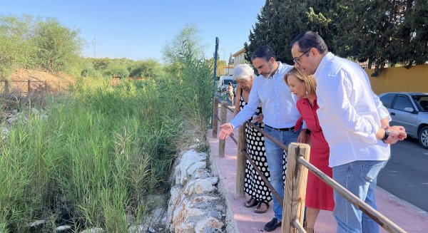 El PSOE de Málaga exige a Ayuntamiento y Junta 'acciones contundentes' contra el mosquito que transmite el virus del Nilo   