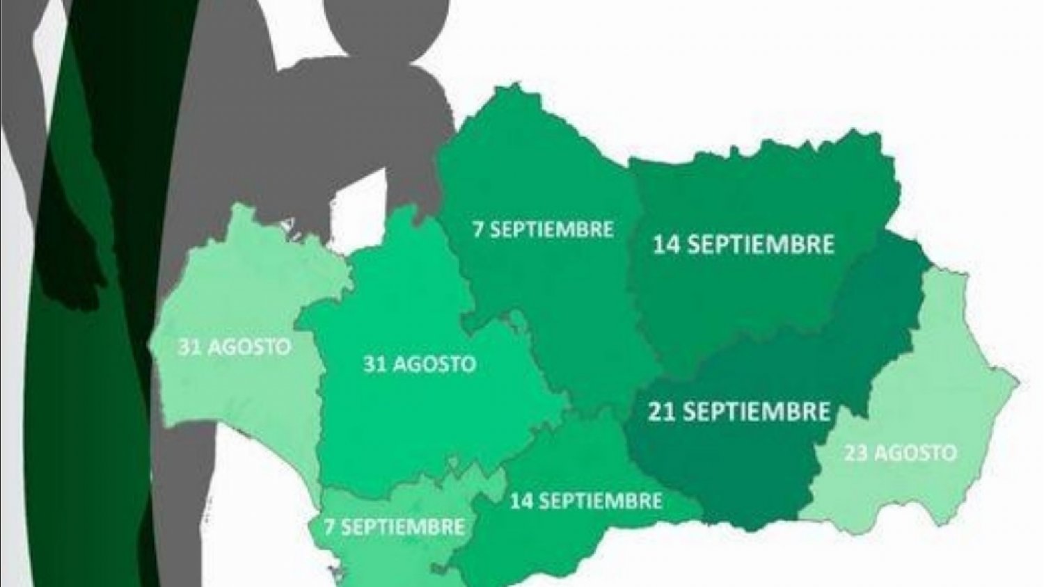 Estepona será una de las sedes del II Andalusí Cup V+35 el próximo sábado 14 de septiembre