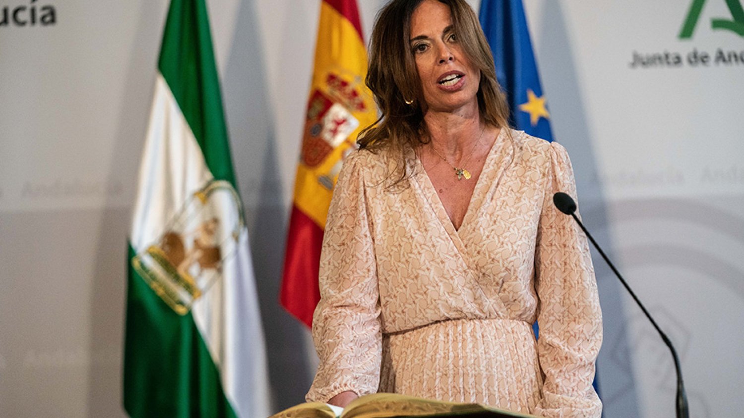La Junta reclama al Gobierno que cumpla con el compromiso del estudio de viabilidad para el tren de la Costa del Sol